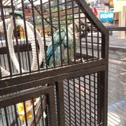 nature pet center