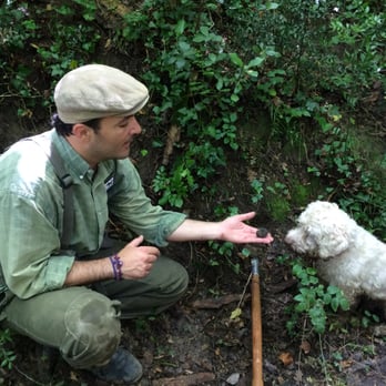 Savini Tartufi - Cristiano Savini, Giotto and the just found truffle - Palaia, PI Savini Tartufi - Cristiano Savini, Giotto and the just found truffle - Palaia, PI