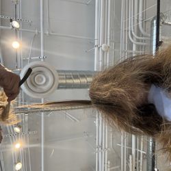 Hair getting cut