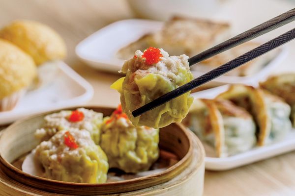Dynasty Dumpling by null
