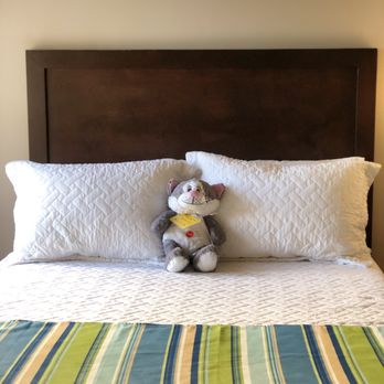 Ronald McDonald House - Stuffed animals in every room - Community Service/Non-Profit Near Me - Jacksonville, Florida Ronald McDonald House - Stuffed animals in every room - Community Service/Non-Profit Near Me - Jacksonville, Florida