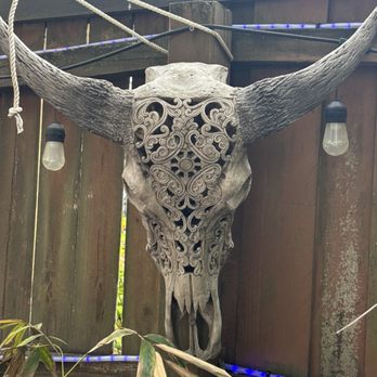 Chico Feo - Bar area. Imagine Tom Robbins. Cook on acid, bartender on shrooms. - Caribbean Near Me - Folly Beach, South Carolina Chico Feo - Bar area. Imagine Tom Robbins. Cook on acid, bartender on shrooms. - Caribbean Near Me - Folly Beach, South Carolina