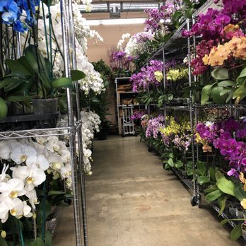 Flora Clay - Inside the store - Florists Near Me - Los Angeles, California Flora Clay - Inside the store - Florists Near Me - Los Angeles, California