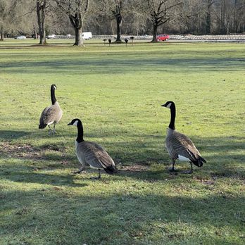Lake Sammamish State Park - Parks Near Me - Issaquah, Washington