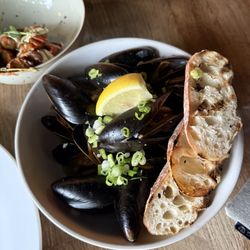 Loose Tie - Mussels.