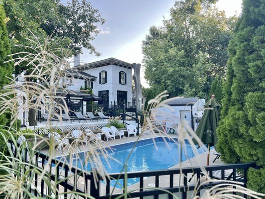 The Apothecary Bar at Maxwell by null