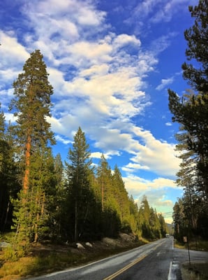 Tioga Rd by null