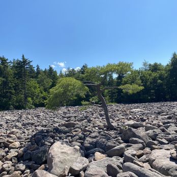 Boulder Field - Boulder Field - Hiking Near Me - Lake Harmony, Pennsylvania