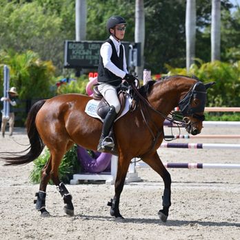 Shadowood South - Winning at WEF - Horseback Riding Near Me - Loxahatchee, Florida Shadowood South - Winning at WEF - Horseback Riding Near Me - Loxahatchee, Florida