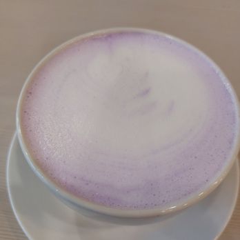 Trees Organic Coffee - a cup of coffee on a saucer - Cafes Near Me - Vancouver, British Columbia