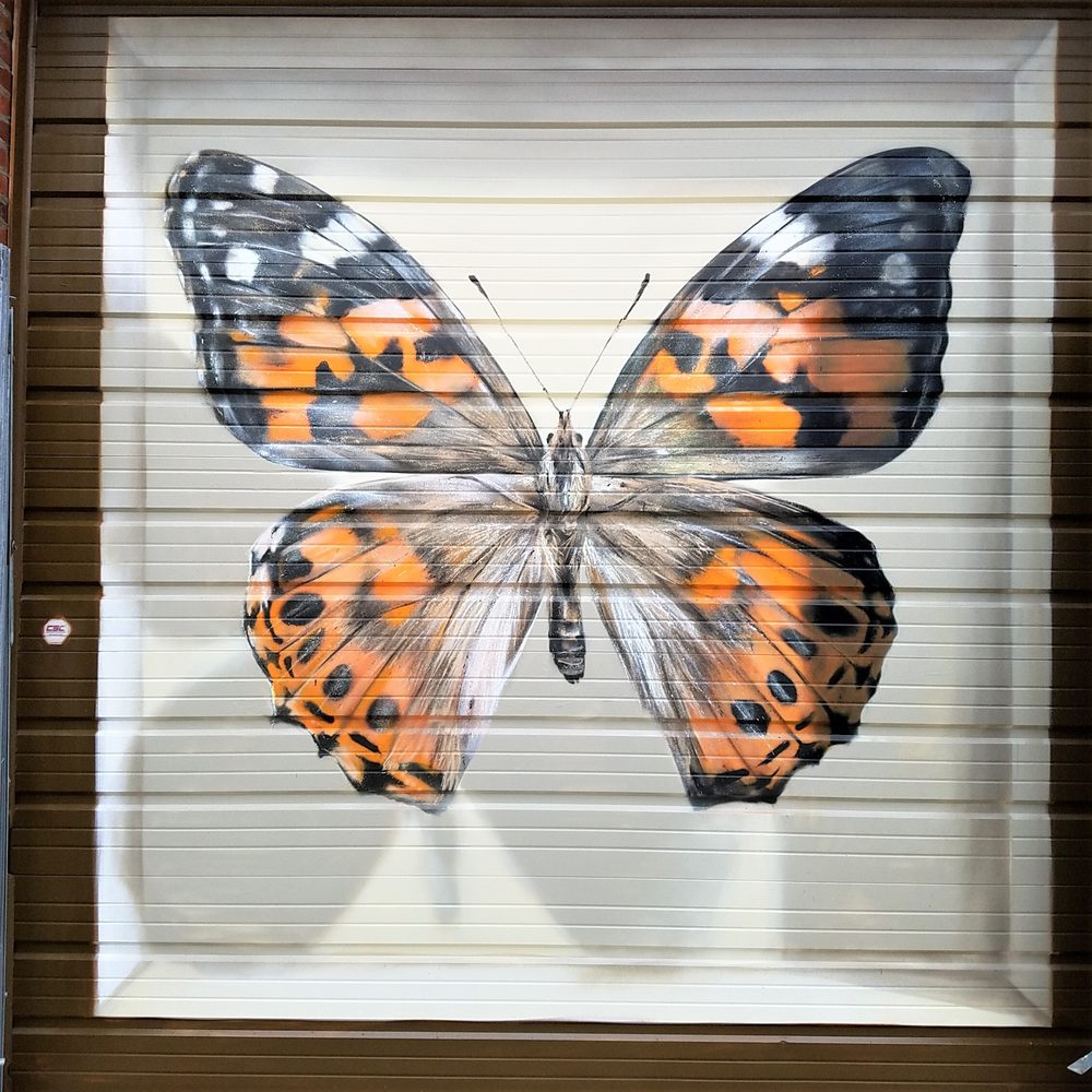 PAPILLONS Updated July 2024 924 N Pennsylvania St, Indianapolis