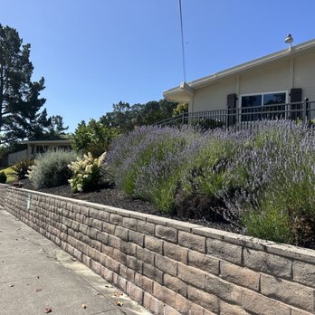 Moraga Post Acute - Physical Therapy Near Me - Moraga, California Moraga Post Acute - Physical Therapy Near Me - Moraga, California