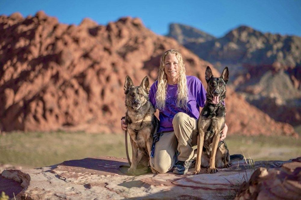 A Better Pet Dog Training - pet boarding facility in Las Vegas, NV