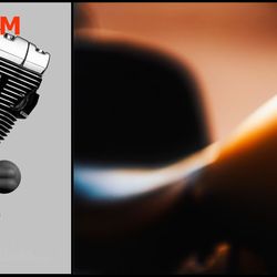 Royal Palm V-Twin