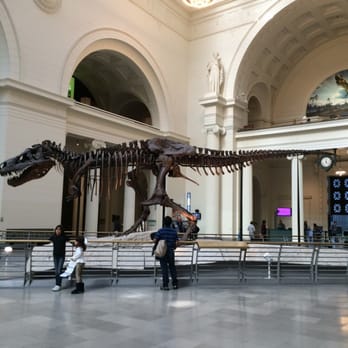 Field Museum - Sue - Museums Near Me - Chicago, Illinois Field Museum - Sue - Museums Near Me - Chicago, Illinois