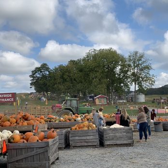 Gaver Farm - Entrance - Pick Your Own Farms Near Me - Mount Airy, Maryland Gaver Farm - Entrance - Pick Your Own Farms Near Me - Mount Airy, Maryland