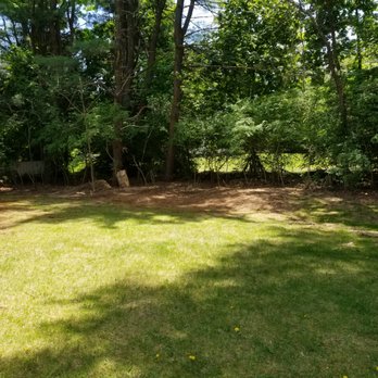 County Tree Service - Stumps ground out in our yard after work was completed, now to grow some grass! - Tree Services Near Me