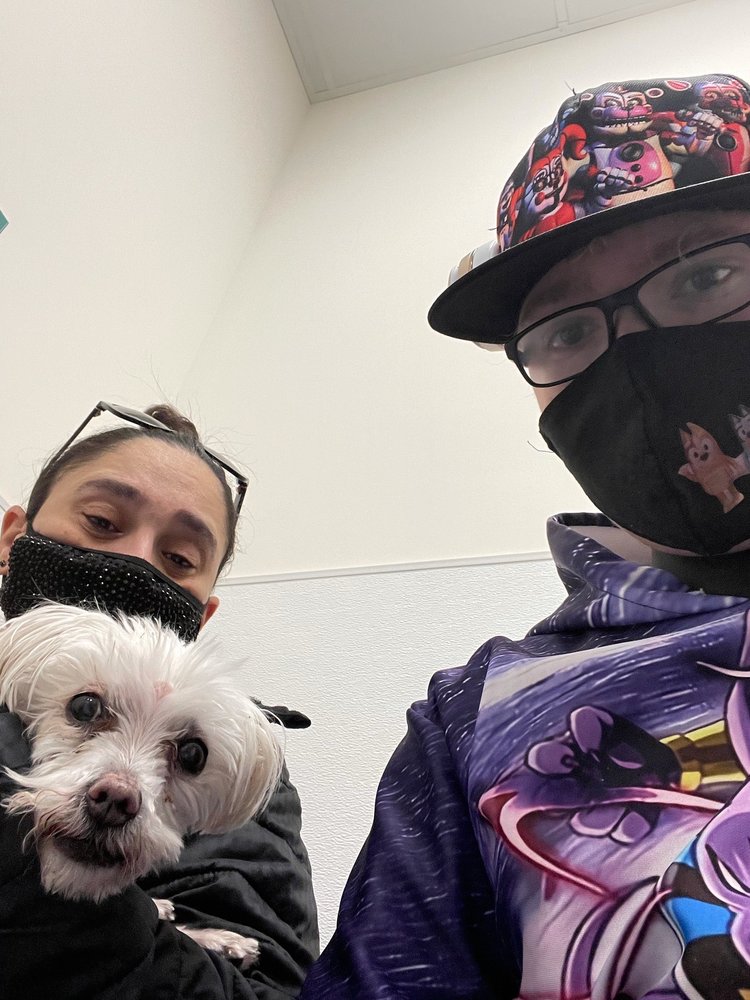 PRINCE FREDERICK ANIMAL HOSPITAL Updated October 2024 10 Photos & 29 Reviews 60 Stafford