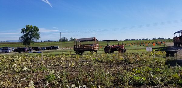Bushue's Family Farm by null
