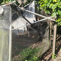 Fresh Gardens