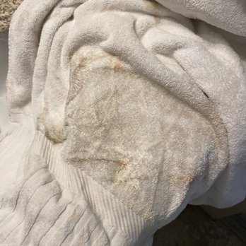 Edgewater Inn - Dirty towel after cleaning a water spill - Hotels Near Me - Saint Augustine, Florida