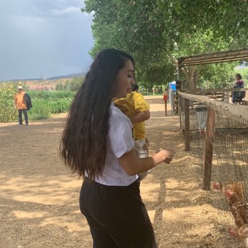 Mortimer Farms - Attraction Farms Near Me - Dewey, Arizona Mortimer Farms - Attraction Farms Near Me - Dewey, Arizona