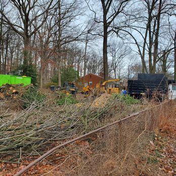 Daniel’s Tree Service - Tree Services Near Me - Culpeper, Virginia Daniel’s Tree Service - Tree Services Near Me - Culpeper, Virginia