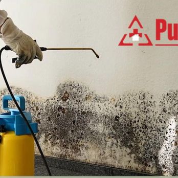 PuroClean - Damage Restoration Near Me - Gray, Tennessee