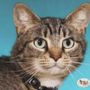 Photo of Lil' Pals Pet Photography