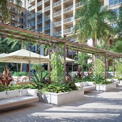 The Ritz-Carlton Key Biscayne, Miami - Escape to tranquility in our serene courtyard, where lush greenery and cozy seating await.