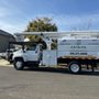 Photo of Catalpa Tree Specialist
