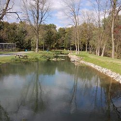 Limestone Springs Fishing Preserve