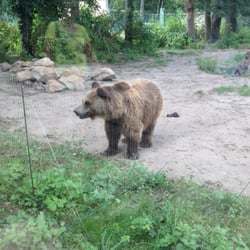 Tiergarten Delitzsch