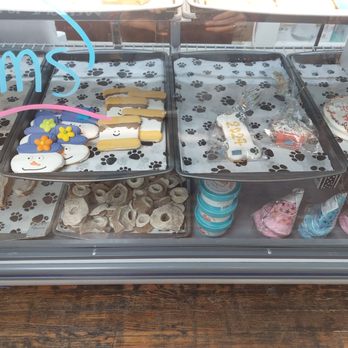 Gurrs & Purrs - Pet Groomers Near Me - DeLand, Florida