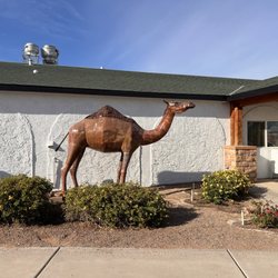 Mountain Quail Cafe - Mountain Quail Seater Greeter!!