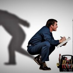 Lifeline Repair Consulting