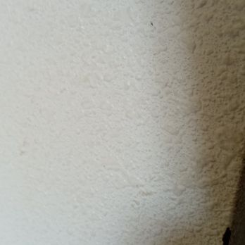 Sleep Inn & Suites - Dinghy walls literally so dirty looks like they have never been whipped down. - Hotels Near Me - Winchester, Virginia