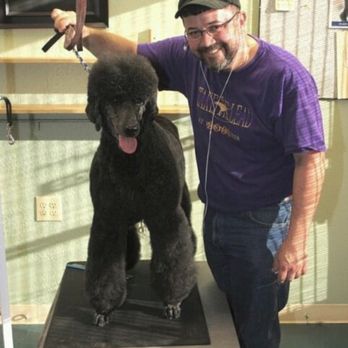 Top Dog - Pet Groomers Near Me