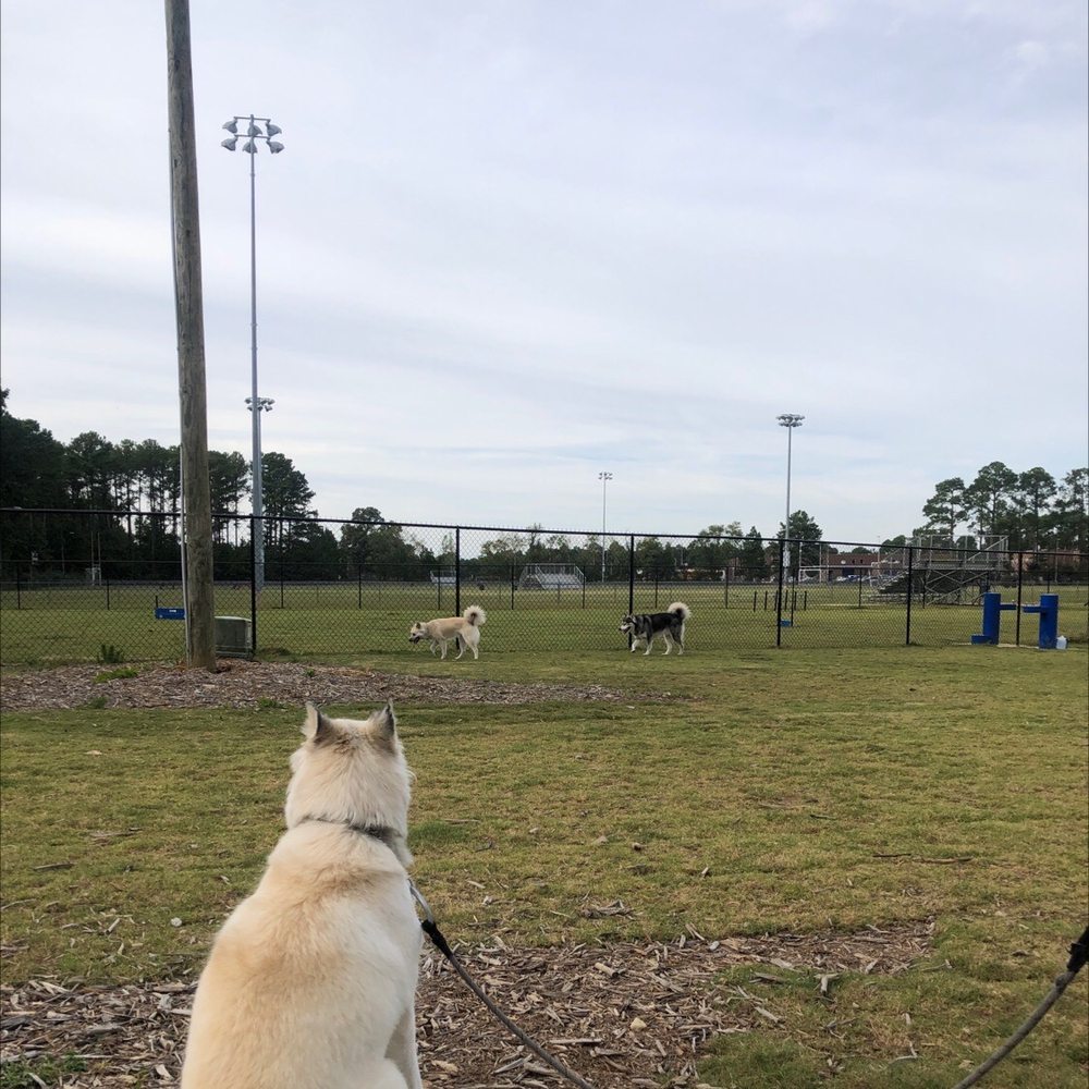 Westover Dog Park Image
