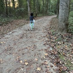 Reeves Creek Trail