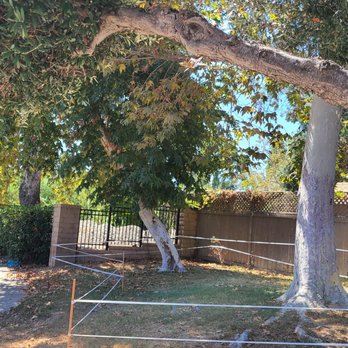 Rod's Tree Service - Tree Services Near Me Rod's Tree Service - Tree Services Near Me