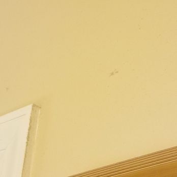 Grenoble House - Room 207. Dust on walls and door frames. - Hotels Near Me - New Orleans, Louisiana Grenoble House - Room 207. Dust on walls and door frames. - Hotels Near Me - New Orleans, Louisiana