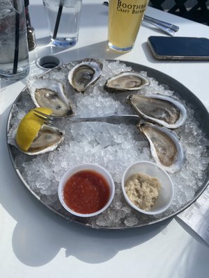 Mine Oyster by null