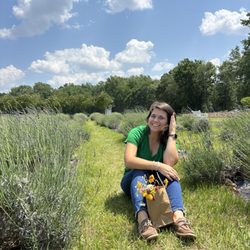 Sweethaven Lavender