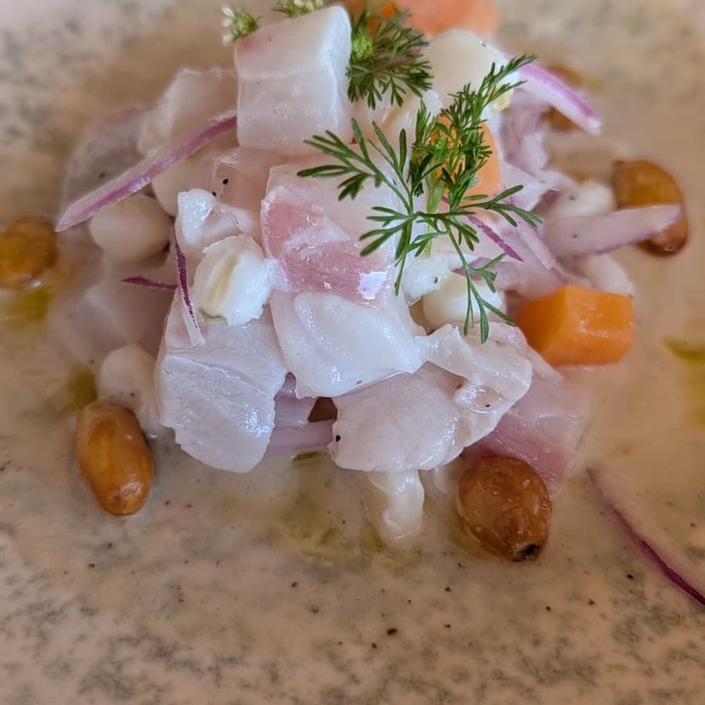Pitahayas - Ceviche - Asian Fusion Near Me - Cabo San Lucas, BCS Pitahayas - Ceviche - Asian Fusion Near Me - Cabo San Lucas, BCS