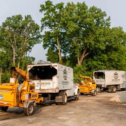 Chapingo Tree Care Specialists