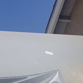 RV Country - Paint missing after bird crap removal - RV Dealers Near Me - Fresno, California RV Country - Paint missing after bird crap removal - RV Dealers Near Me - Fresno, California