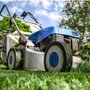 Photo of Rosales Lawn Patrol