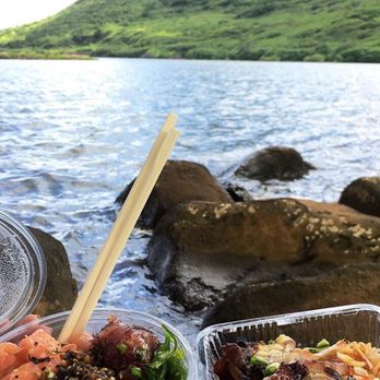 The Fish Express - Poke bowl + bento box - Hawaiian Near Me - Lihue, Hawaii The Fish Express - Poke bowl + bento box - Hawaiian Near Me - Lihue, Hawaii
