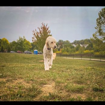 Spindler Road Dog Park - My dog stella rose - Dog Parks Near Me - Hilliard, Ohio